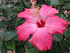 DSCN0486
