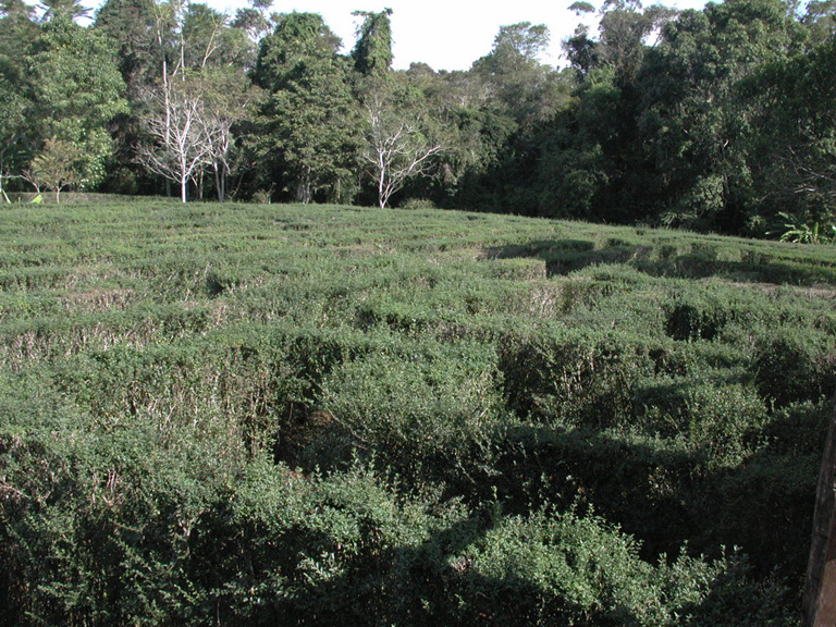 DSCN0585