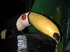 DSCN0558