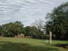 DSCN0568