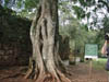 DSCN0572