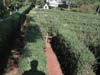 DSCN0584