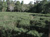 DSCN0585