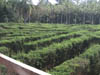 DSCN0586