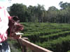DSCN0588