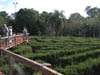 DSCN0589