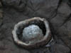 DSCN0591