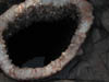 DSCN0592