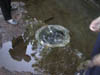 DSCN0594