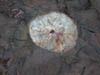 DSCN0599