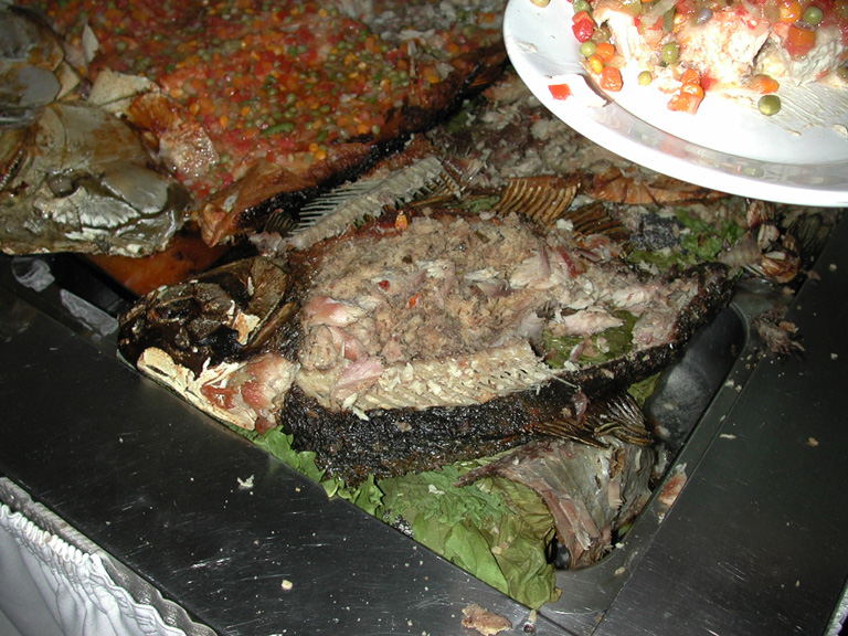 DSCN0638
