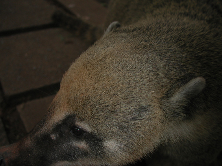 DSCN0668
