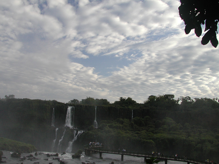 DSCN0742