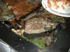 DSCN0638