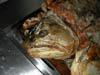DSCN0659
