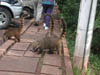 DSCN0672