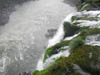 DSCN0731