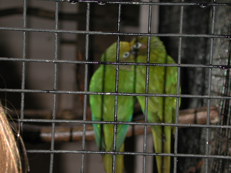 DSCN0797
