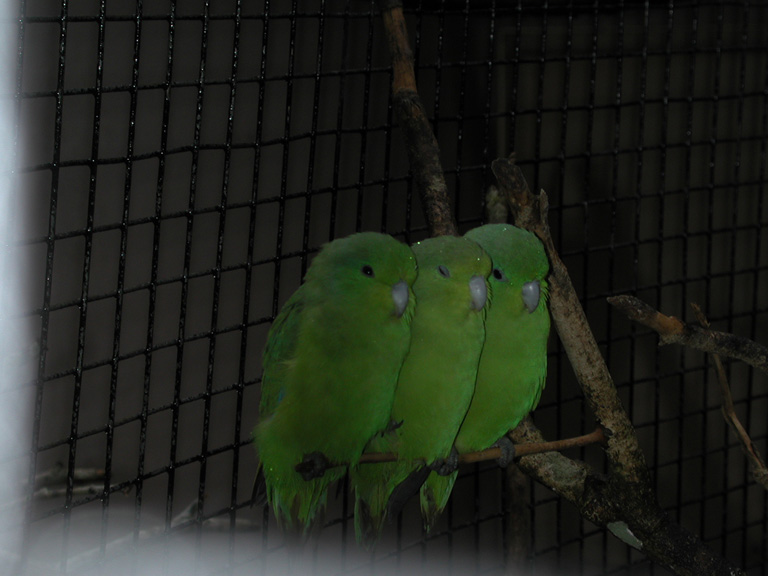 DSCN0801
