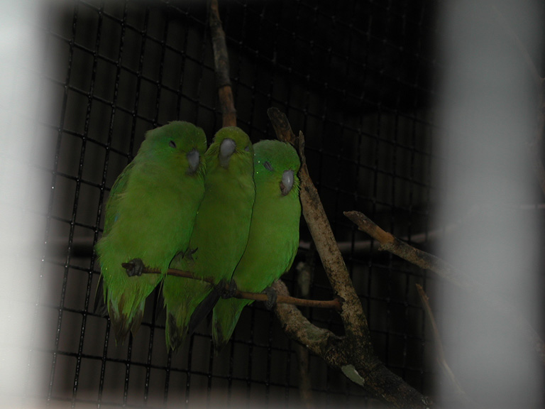 DSCN0802