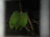 DSCN0802