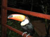 DSCN0824