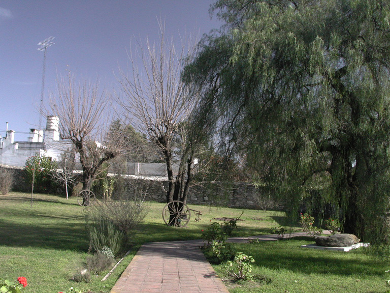 DSCN0884