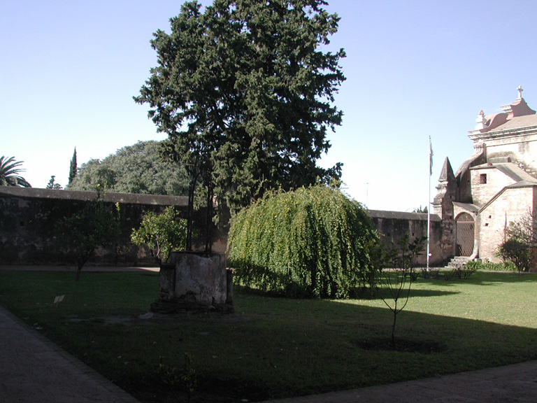 DSCN0897