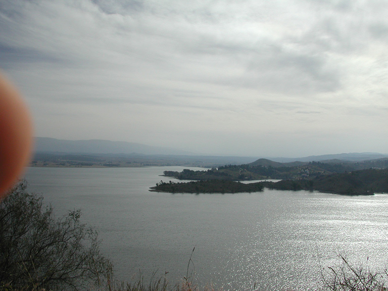 DSCN0937