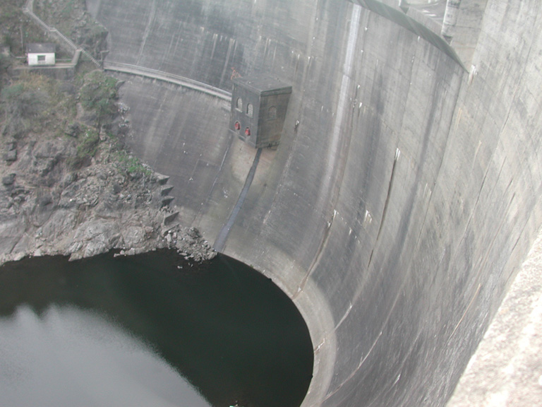 DSCN0982