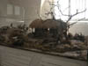 DSCN0870