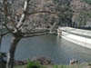 DSCN0927