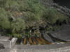DSCN0981