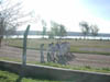 DSCN1087