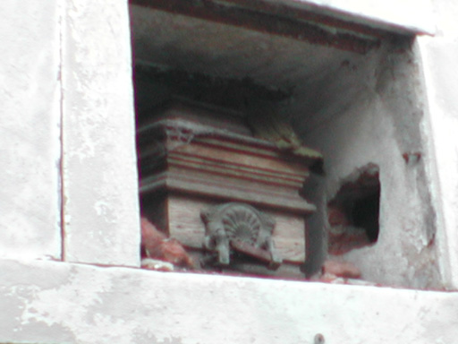 DSCN0213