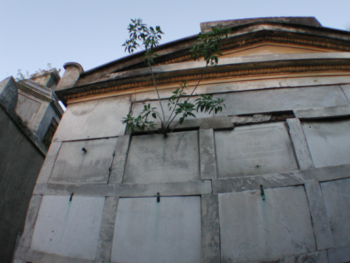 DSCN0215