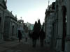 DSCN0196