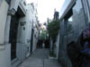 DSCN0202