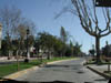 DSCN0243