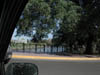 DSCN0246