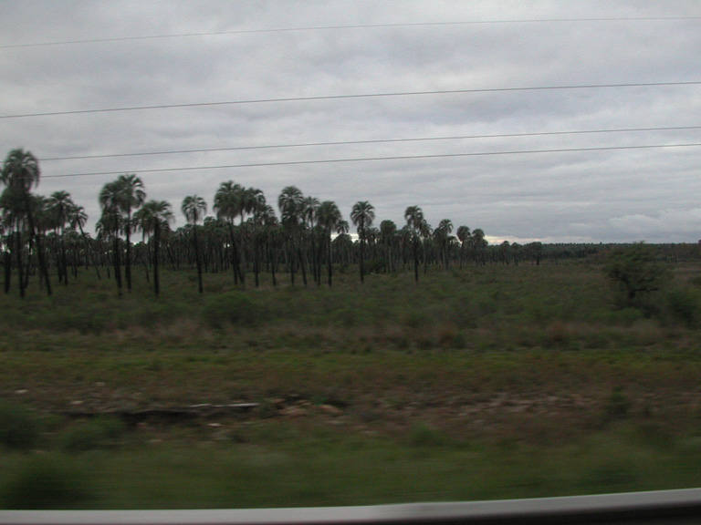 DSCN0430