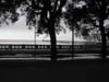 DSCN0400