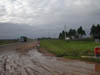 DSCN0426