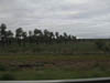 DSCN0430